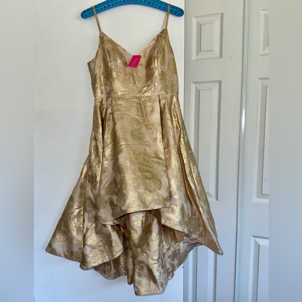 NWT Alisalynn floral brocade style dress size 10 🦄❤️
Hard to find